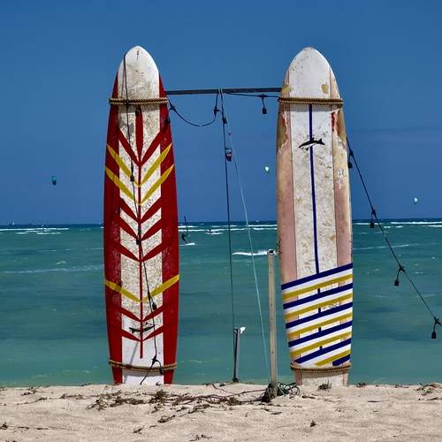 Photo #11877179