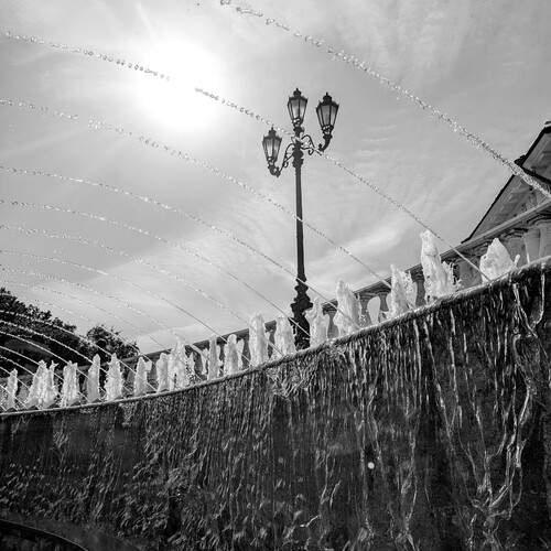 Photo #11877227