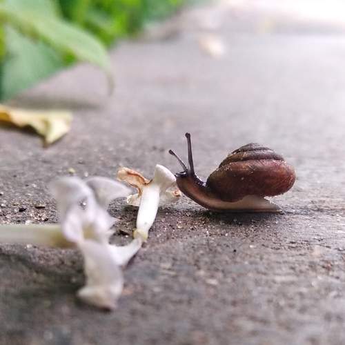 Photo #11877647