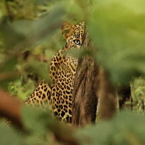 Photo #11877735