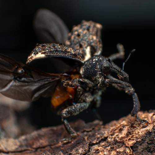 Фотография #11877825