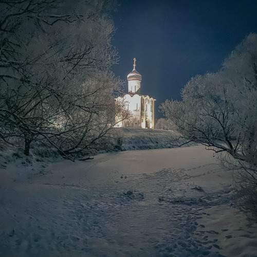 Photo #11877835