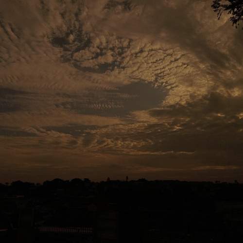 Photo #11878123