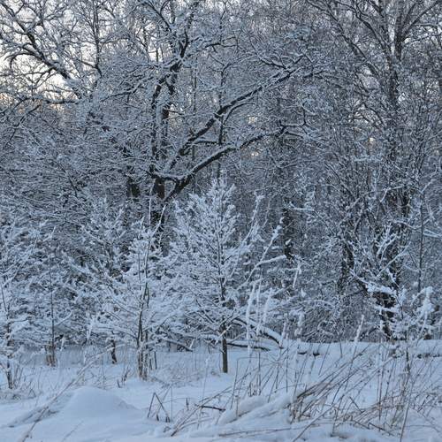 Photo #11878356