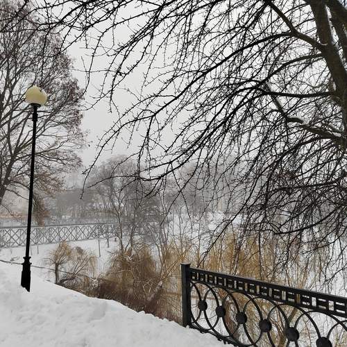 Winter. Gomel Park