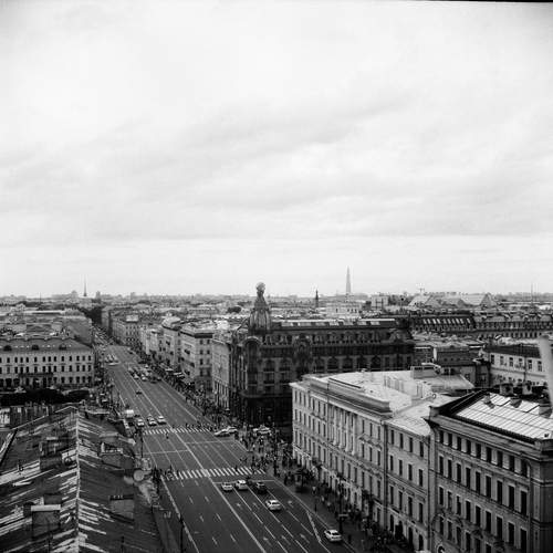 Photo #11878494