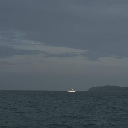 Photo #11878514