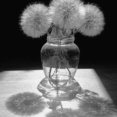 Фотография #11878521