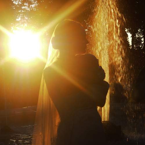 Photo #11878574