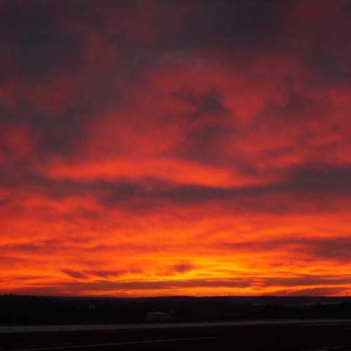 Photo #11878690
