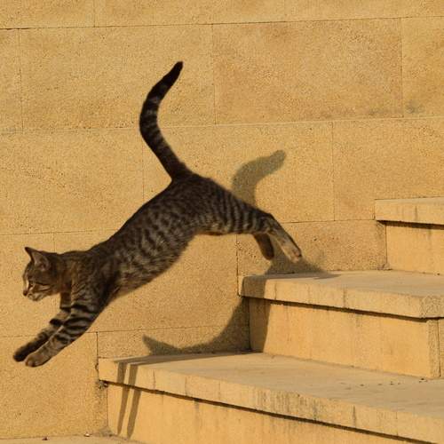 Photo #11878756