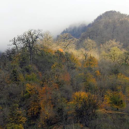 Photo #11878806