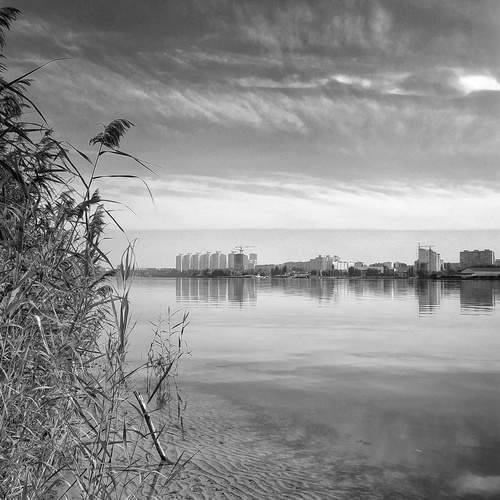 Photo #11878909