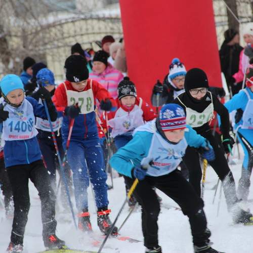 Photo #11879046