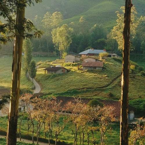 Photo #11879090