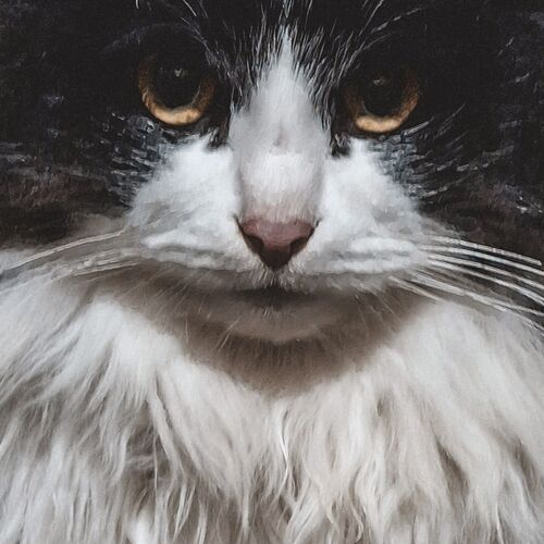 Photo #11879476