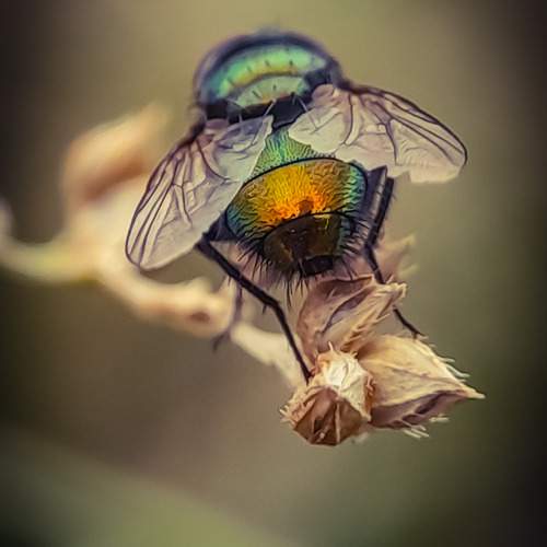 Photo #11879524