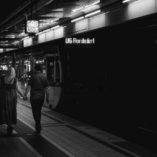 Photo #11879793