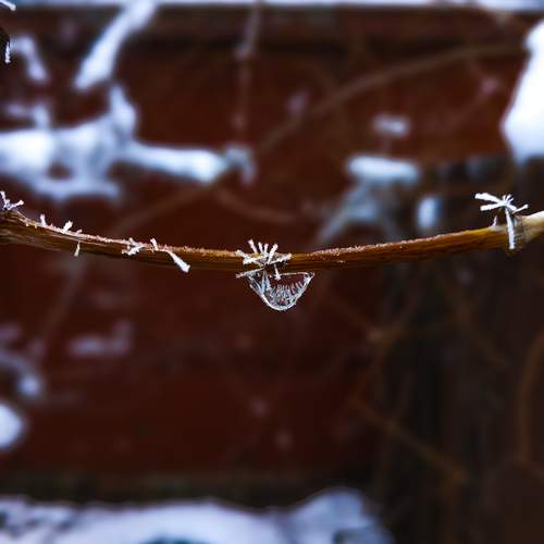 Photo #11879814
