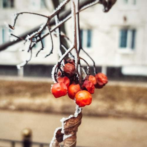 Photo #11879998