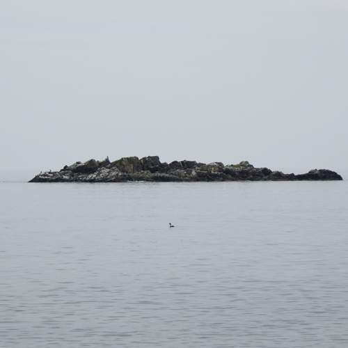Photo #11880176