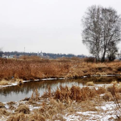 Photo #11880280