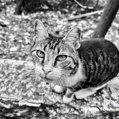 Photo #11880401