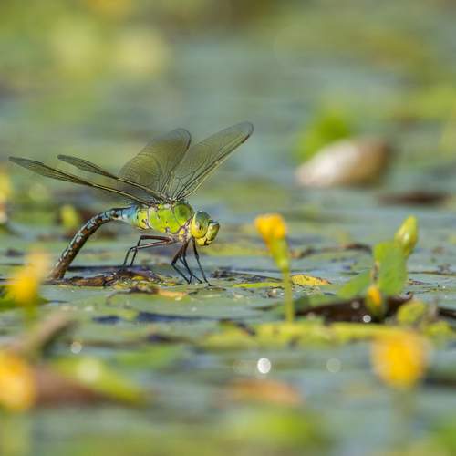 Фотография #11880476