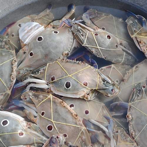 Photo #11880607