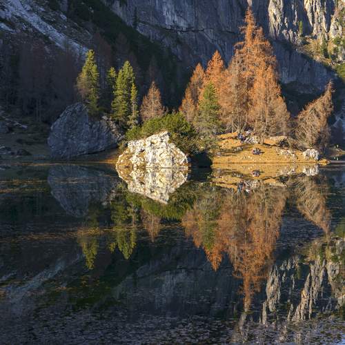 Фотография #11880613