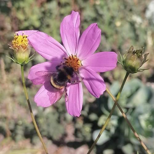 Photo #11880774