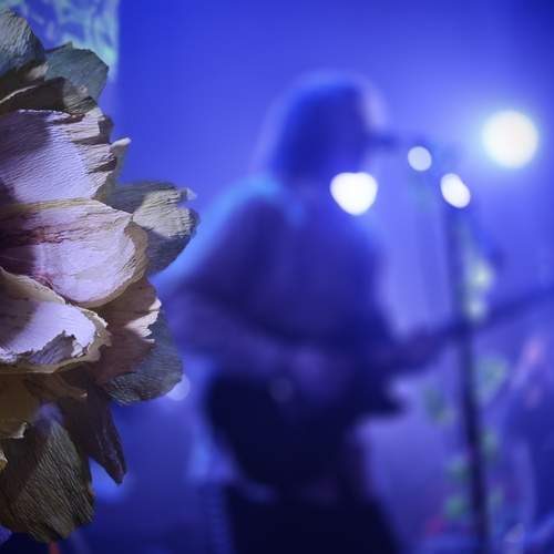 Photo #11880851
