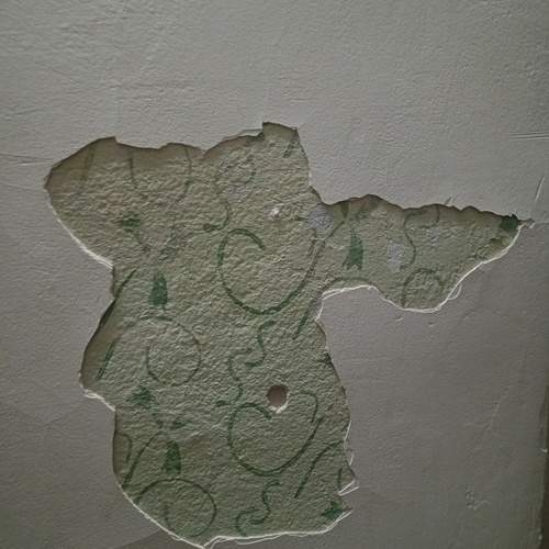 Photo #11880965