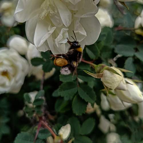 Photo #11881099