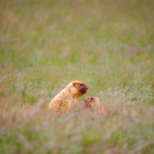 Photo #11881239