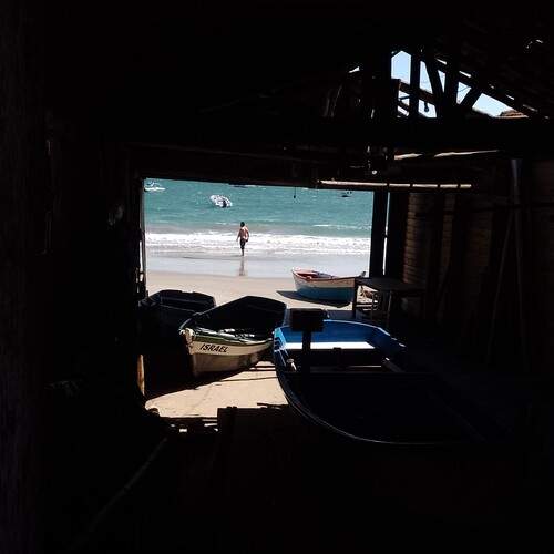 Photo #11881445