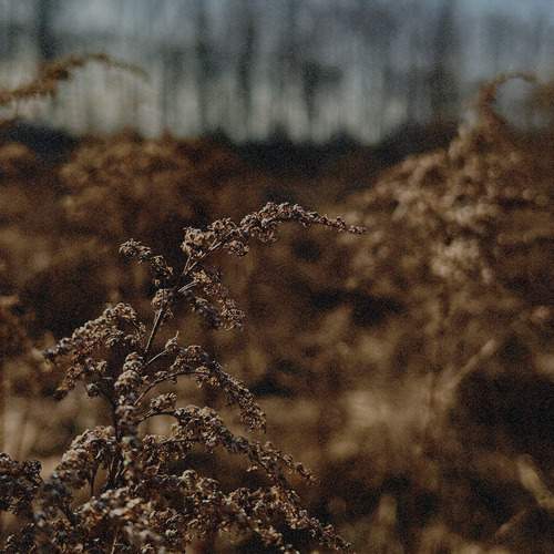 Photo #11881890