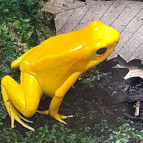Photo #11882325