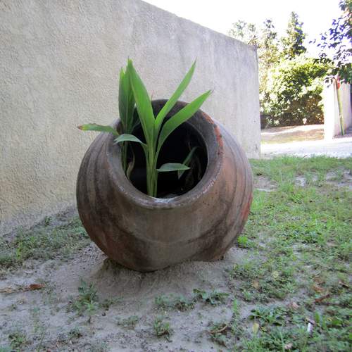 Photo #11882362
