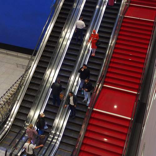 Photo #11882582