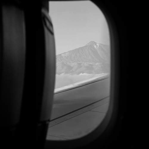Photo #11882782