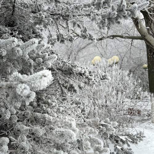 Photo #11882850