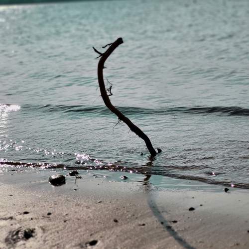 Photo #11882946