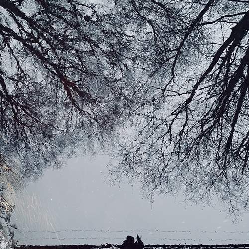 Photo #11883144