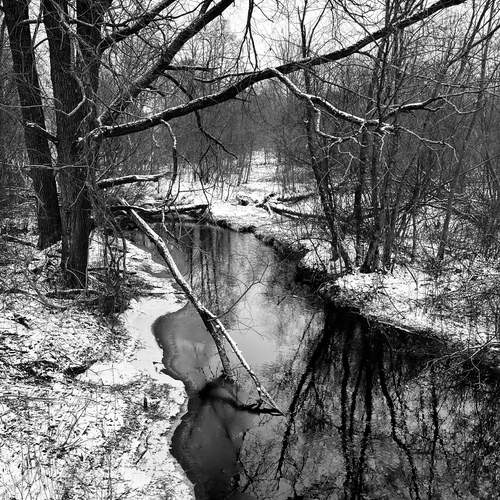 Photo #11883147