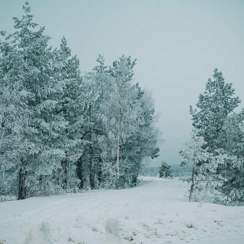 Photo #11883334