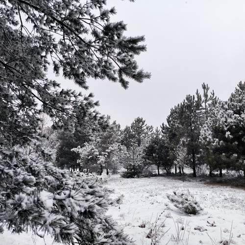 Photo #11883641