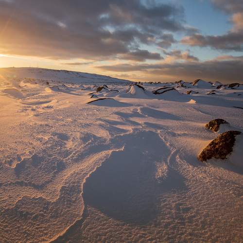 Фотография #11883739