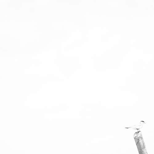 Photo #11884029