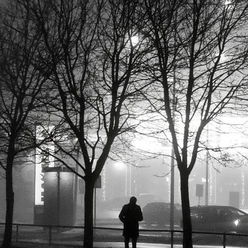 Photo #11884033